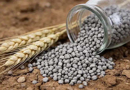 خطوط إنتاج أحماض الأسمدة