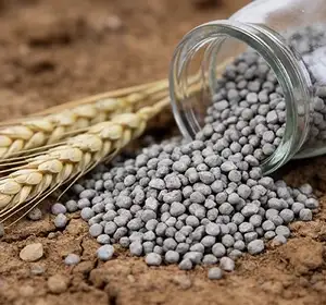 خطوط إنتاج الأسمدة الفوسفاتية