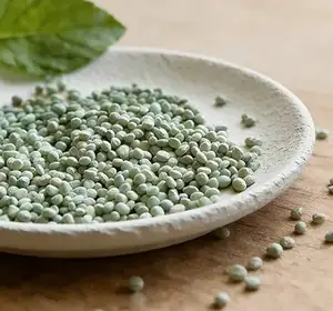 خطوط إنتاج الأسمدة المركبة